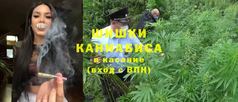 Марихуана White Widow  кракен сайт  Бабаево 